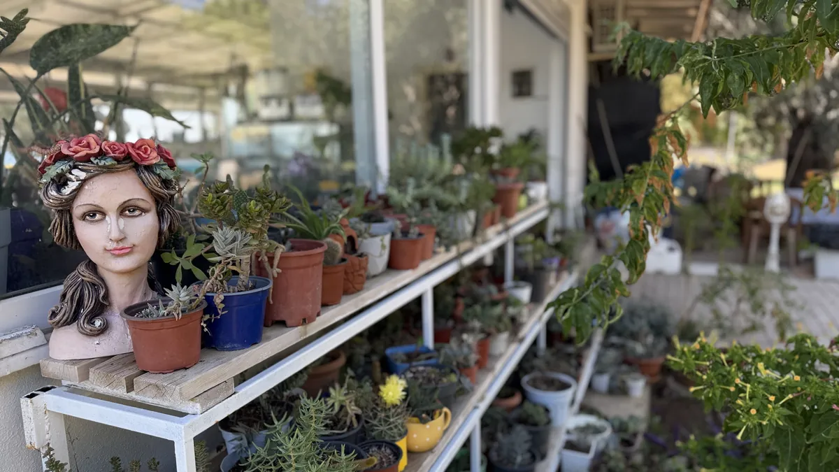 Safir Beach Garden bitkileri ve dekoratif seramikleri